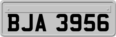 BJA3956