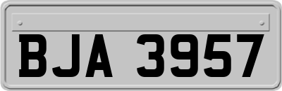 BJA3957