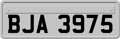 BJA3975