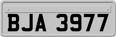 BJA3977