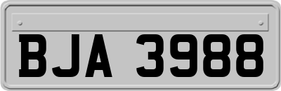 BJA3988