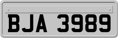 BJA3989