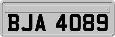 BJA4089