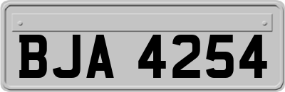BJA4254