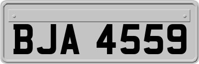 BJA4559