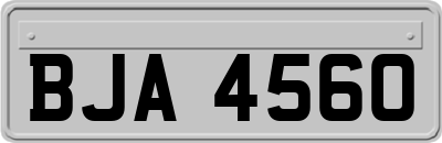 BJA4560