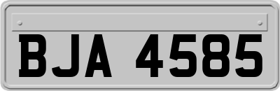 BJA4585