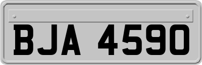 BJA4590