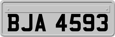 BJA4593