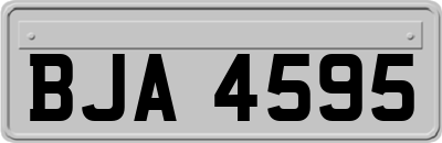 BJA4595