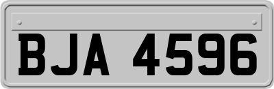 BJA4596