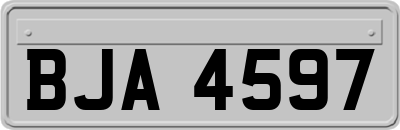 BJA4597