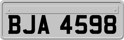 BJA4598