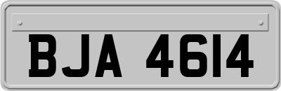 BJA4614