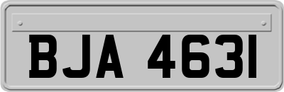 BJA4631