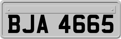 BJA4665