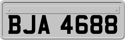 BJA4688