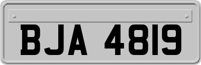 BJA4819