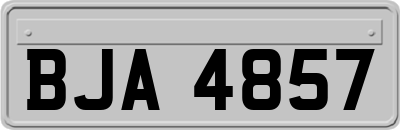 BJA4857