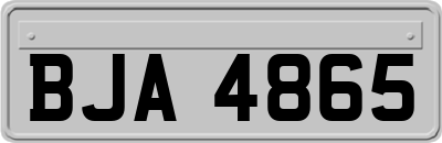 BJA4865