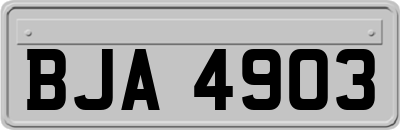 BJA4903