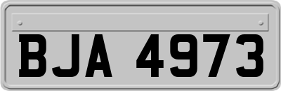 BJA4973