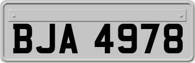 BJA4978