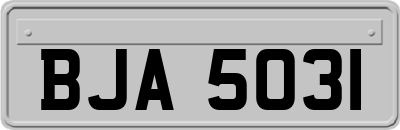 BJA5031