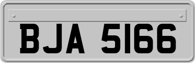 BJA5166