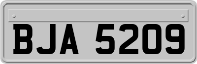 BJA5209