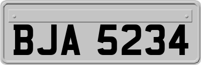 BJA5234