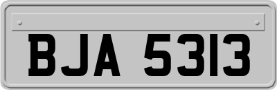 BJA5313