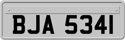 BJA5341