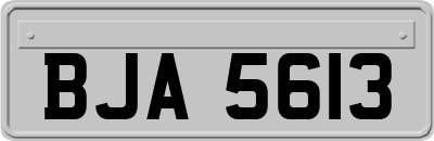 BJA5613