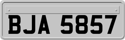 BJA5857