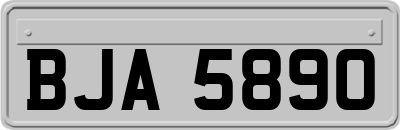 BJA5890