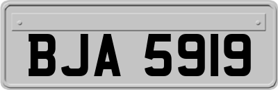 BJA5919