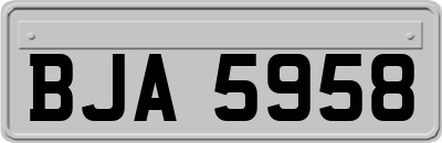 BJA5958