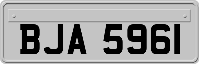 BJA5961