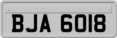 BJA6018