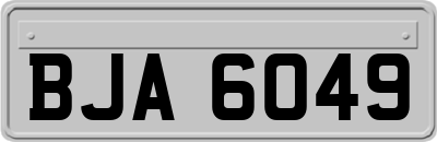 BJA6049