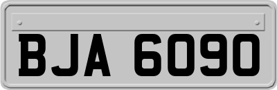 BJA6090