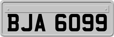 BJA6099
