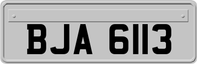 BJA6113