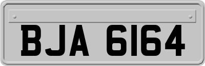 BJA6164