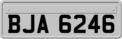 BJA6246