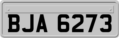 BJA6273