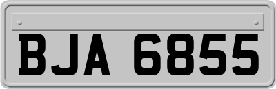 BJA6855