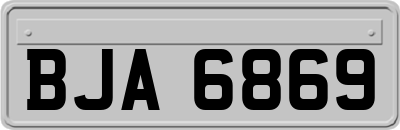 BJA6869