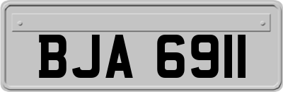 BJA6911